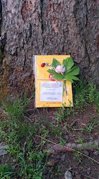 Noč knjige v Grajskem parku – To noč vas čakajo knjige