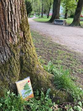 Noč knjige v Grajskem parku – To noč vas čakajo knjige