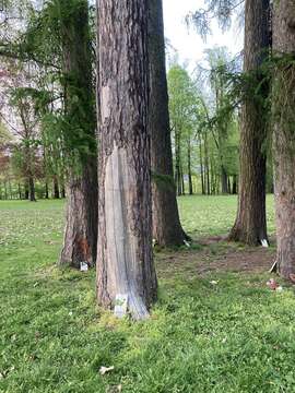 Noč knjige v Grajskem parku – To noč vas čakajo knjige