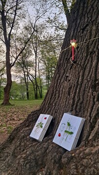 Noč knjige v Grajskem parku – To noč vas čakajo knjige