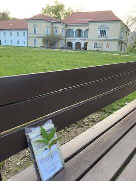 Noč knjige v Grajskem parku – To noč vas čakajo knjige