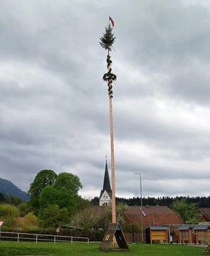 Postavljanje mlaja na Ravnah in v Kotljah