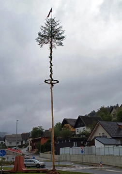 Postavljanje mlaja na Ravnah in v Kotljah