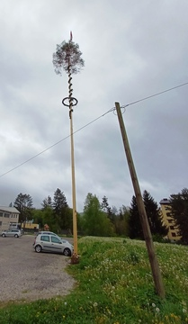 Postavljanje mlaja na Ravnah in v Kotljah