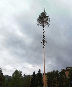 Postavljanje mlaja na Ravnah in v Kotljah