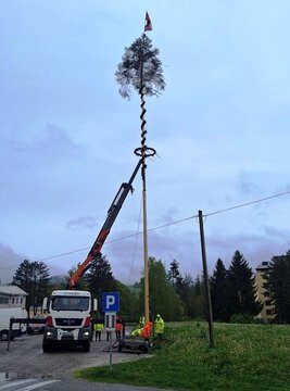 Postavljanje mlaja na Ravnah in v Kotljah