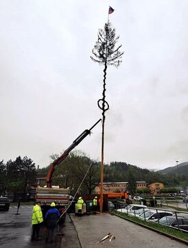 Postavljanje mlaja na Ravnah in v Kotljah