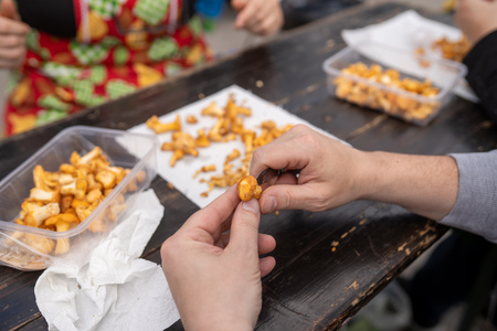 untitled-foto-Nika_Hölcl-057