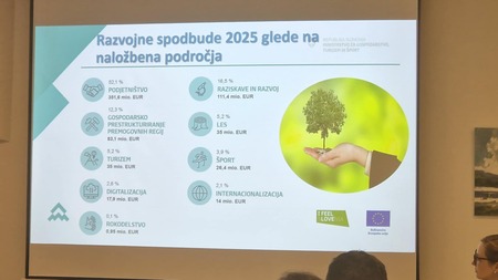 EU priložnosti na Ravnah na Koroškem