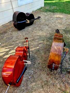 Zvoki jazza v nedeljo dopoldan v Grajskem parku