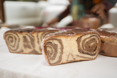 untitled-foto-Nika_Hölcl-022