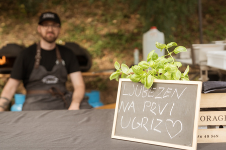 untitled-foto-Nika_Hölcl-041