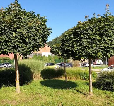 Mesec september - zlati mesec - ozaveščanja o raku pri otrocih in mladostnikih