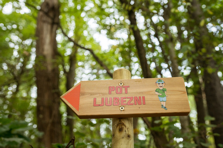 untitled-foto-Nika_Hölcl-096