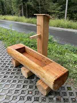 Zaključek študijskega krožka "Tatrman in korito – koroški vodnjak iz lesa"