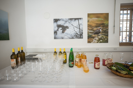 untitled-foto-Nika_Hölcl-138