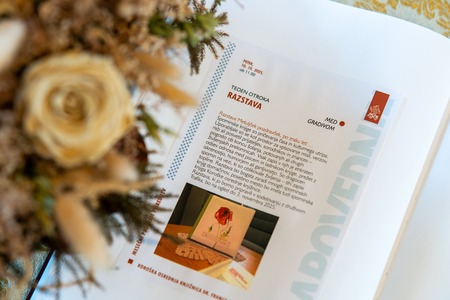  Razstava Metuljček cekinček, po zraku leti 