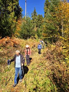 Pohod po Vorančevi poti: po sledeh Prežihovega Voranca in njegovih bratov