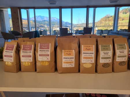 Proso / izkustvena delavnica