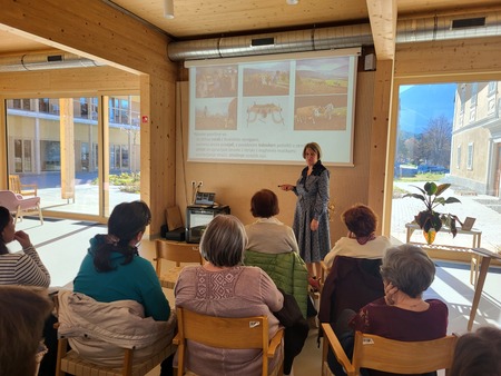 Proso / izkustvena delavnica