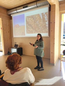 Proso / izkustvena delavnica