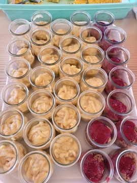 Proso / izkustvena delavnica