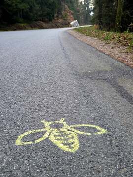 Vaja GZ Mežiške doline – Ivarčko jezero