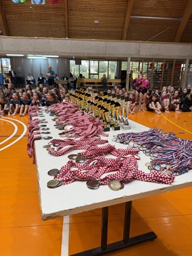 Gimnastičarji ŠD Partizan Ravne blestijo tudi na mednarodnih tekmovanjih