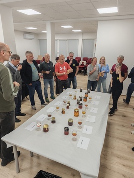 Projekt enforce: pomen doživljajskega čebelarstva 