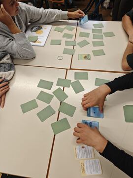 Projekt enforce: pomen doživljajskega čebelarstva 