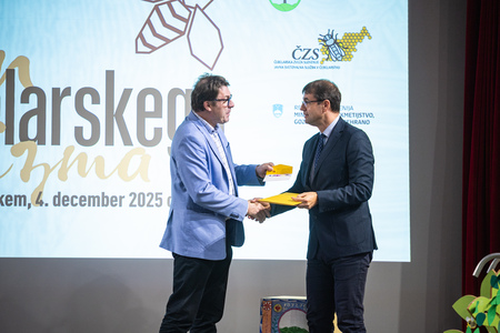 Dancˇebelarskegaturizma-378