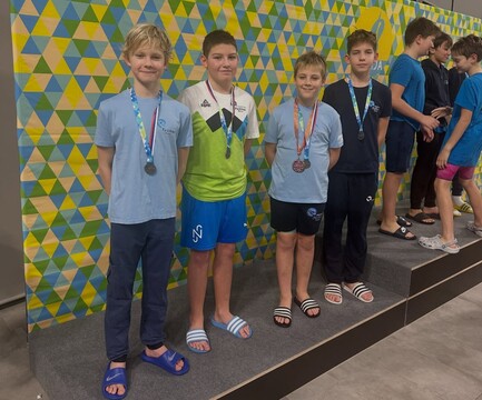 Mišov memorial v plavanju