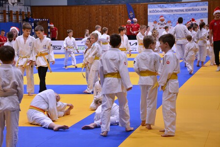 4. Festival koroškega juda 2025 