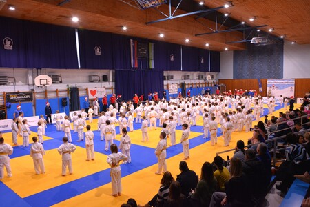 4. Festival koroškega juda 2025 