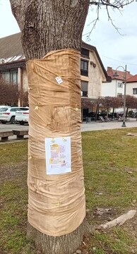 Mednarodni dan boja proti otroškemu raku