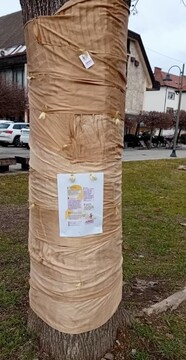 Mednarodni dan boja proti otroškemu raku