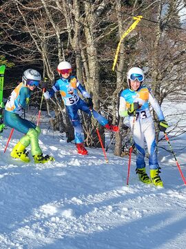 Državno prvenstvo v veleslalomu in slalomu