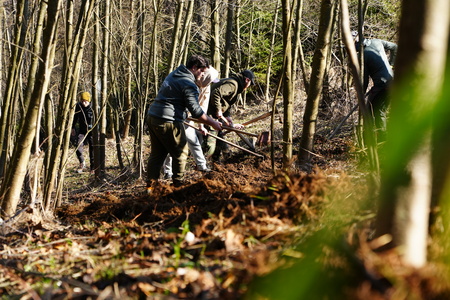 V Bike Parku Poseka stekla dela za novo sezono