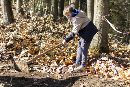 poseka_dan_1_februar_28_2026_foto_jurij_vodusek_wildframe.si_6