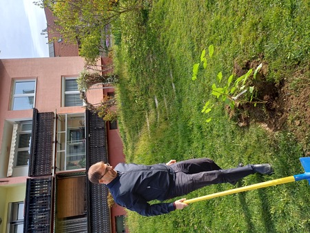 Župan zasadil lipo ob Mestni tržnici