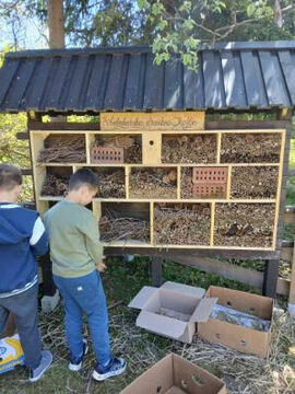 13Dan odprtih vrat Čebelarskega društva Kotlje