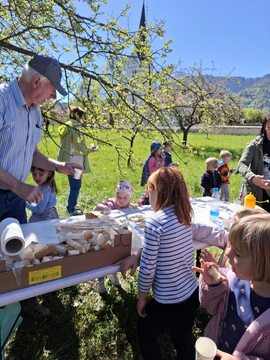 Dan odprtih vrat Čebelarskega društva Kotlje
