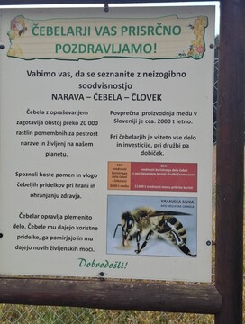 image000004018