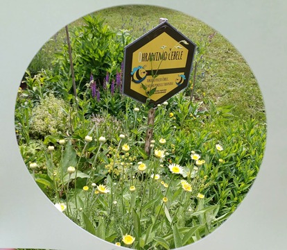 Gozdna kopel pri čebelnjaku v Kotljah