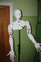 30711124_968807536660160_8827373616917118976_n