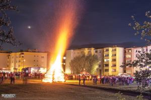 IMG_7856-1