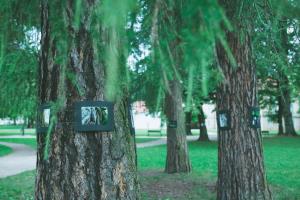 35628573_10157523199820558_1129978077074423808_o