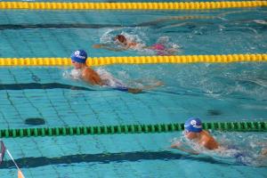 37211968_966817406822614_5144832236004048896_n