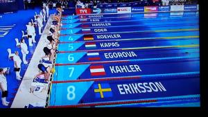 38391189_2065880783421972_1679234601014263808_n