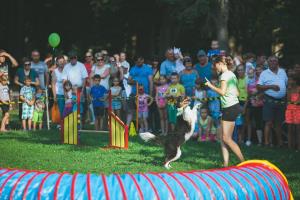 39588873_2188646524726006_1136280769782611968_n